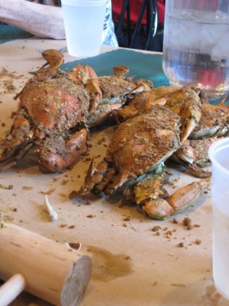 Steamed crabs covered in Old Bay at Costa's Inn, Baltimore, Maryland.